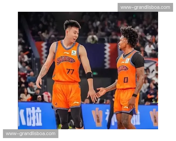 怀特塞德防守篮板率47.5% 上海内线护框体系依赖老将经验